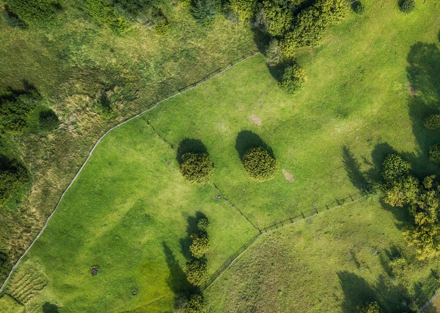Land with diagonal lines